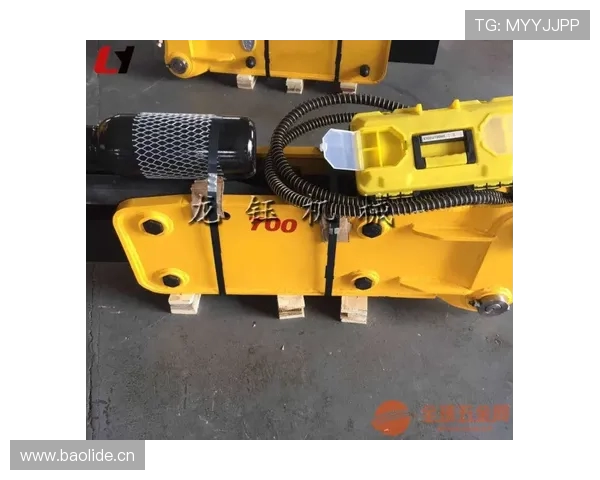 挖掘机燃油泵压力测试